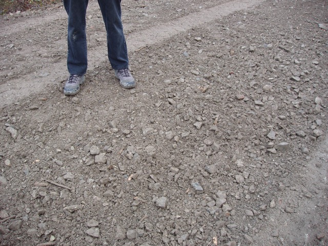 Woss , Canfor BC (5)